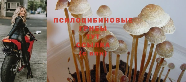 герыч Сатка