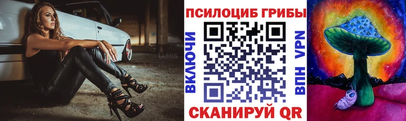 Псилоцибиновые грибы прущие грибы Судогда